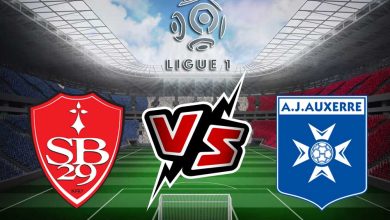 ستاد بريست 29 و أوكسير بث مباشر