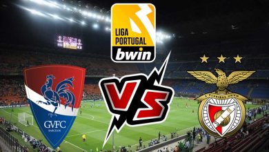 بنفيكا و جل فيسنتي بث مباشر